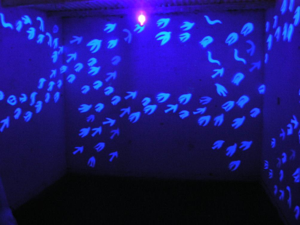 Instalación 2005