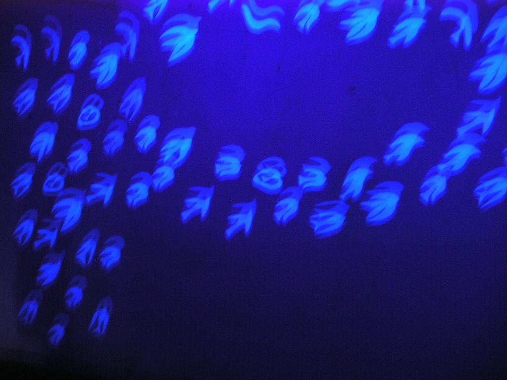 Instalación 2005