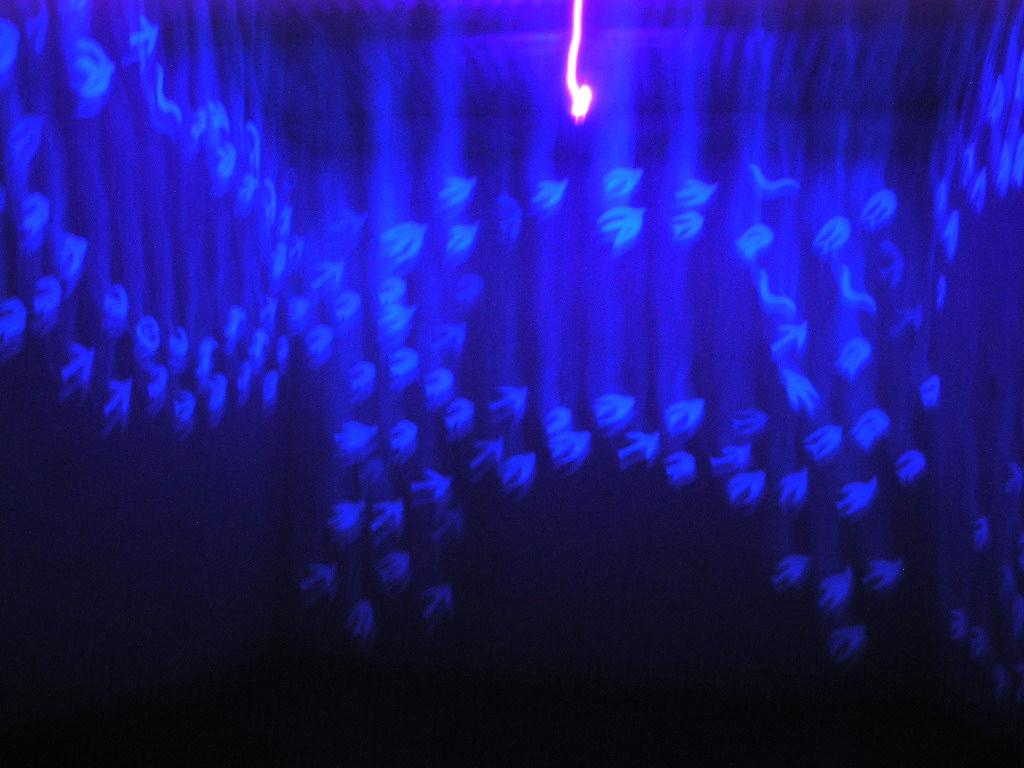 Instalación 2005