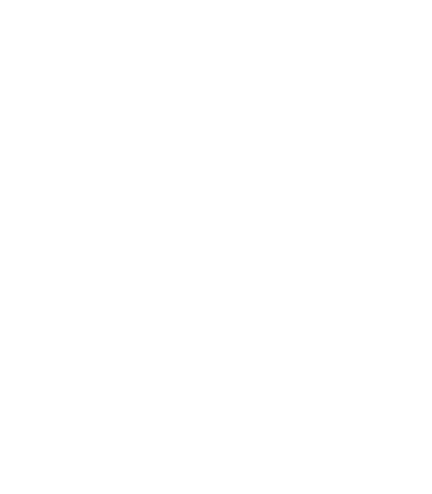 STROIKA