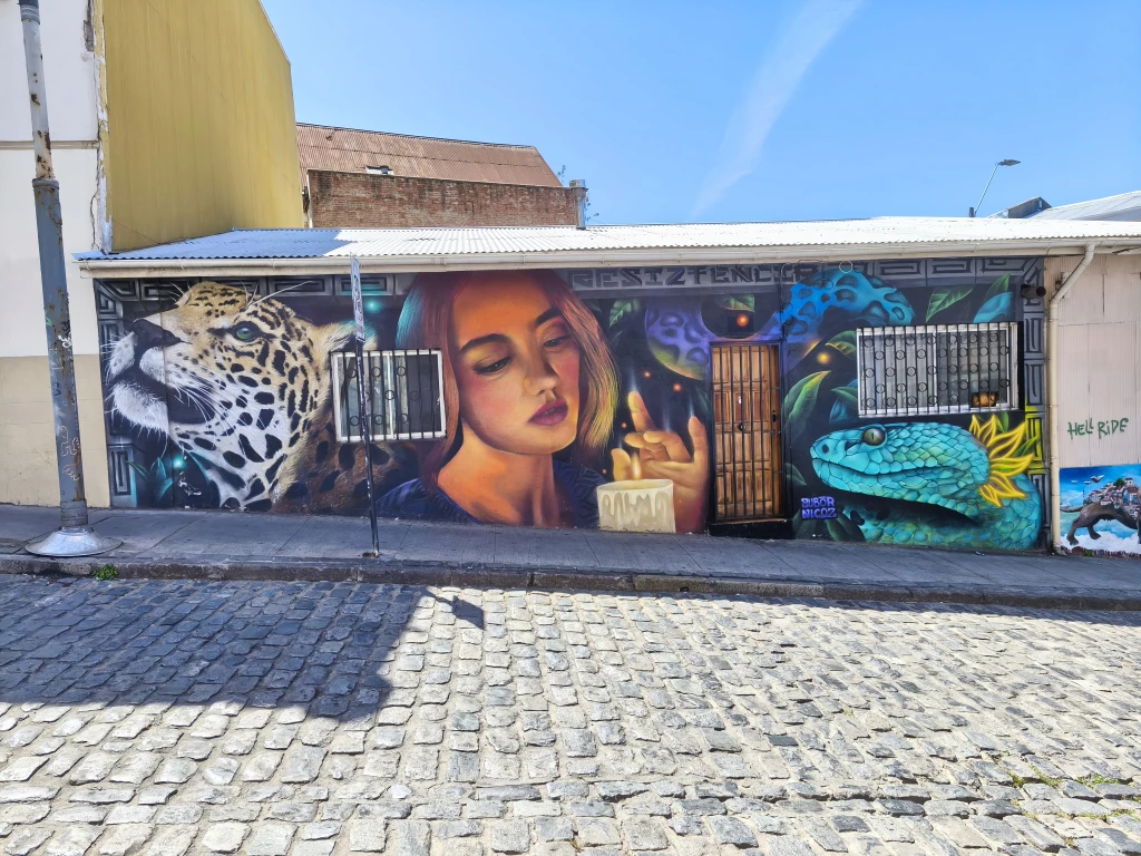 valparaisotoursguiaturisticaStreetartalmirantemontt.webp