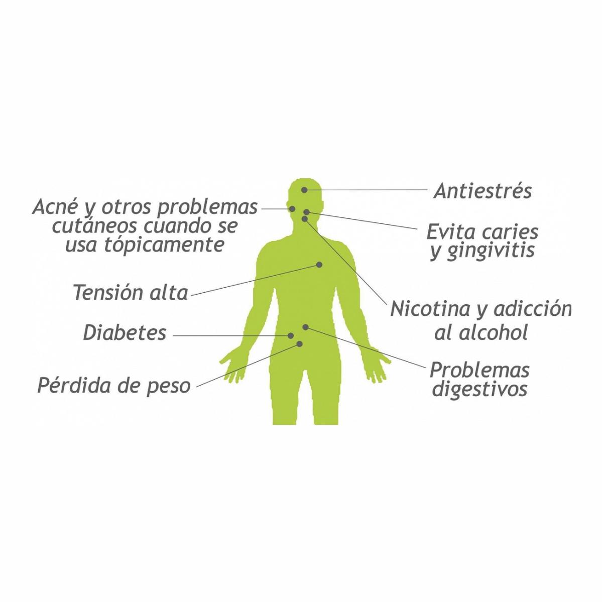 Beneficios conocidos de la Stevia