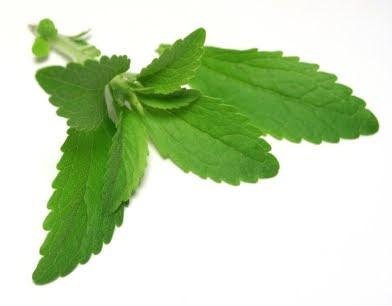 Hoja verde de Stevia