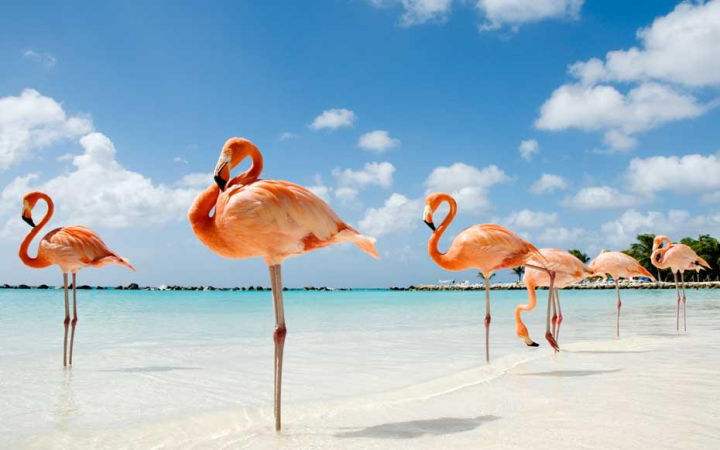 #