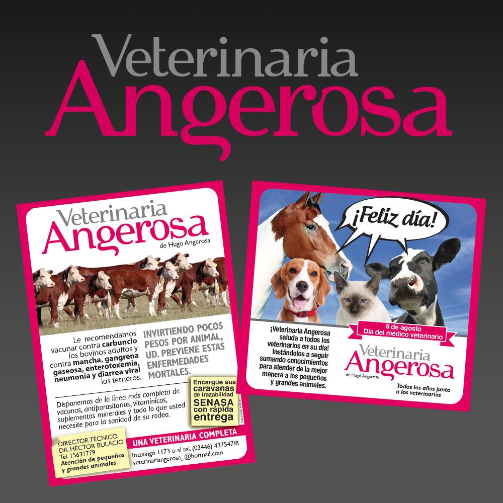BRANDING - AVISOS