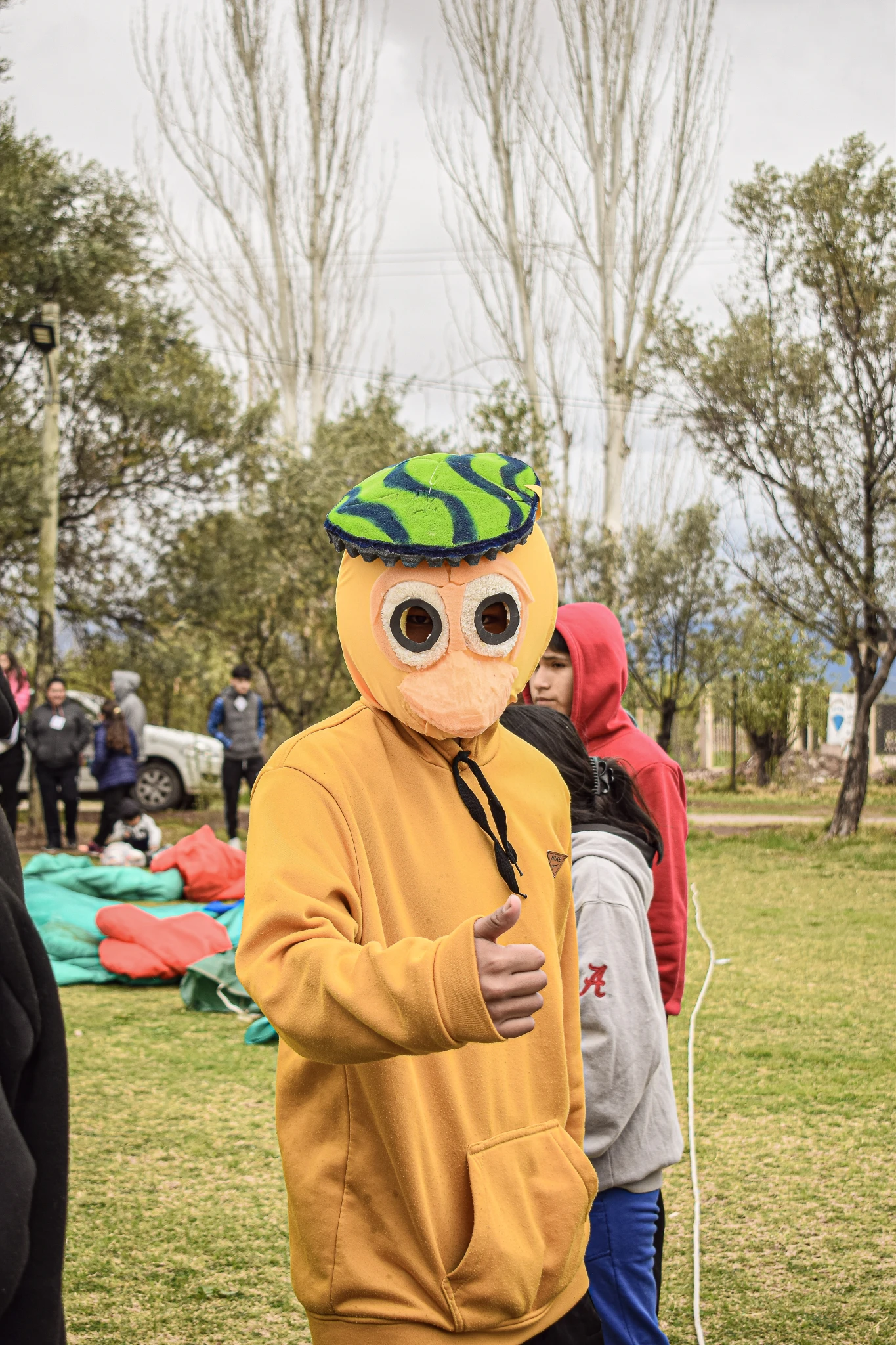 33-DSC6486.webp