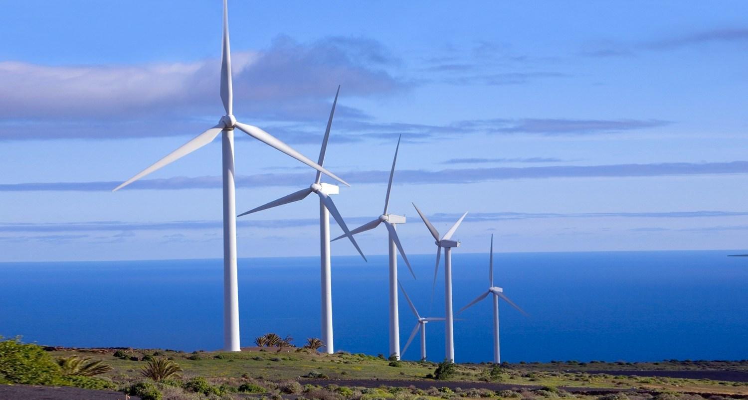 Parque eólico Vientos del Secano, la zona ya produce energía limpia para 600 mil hogares