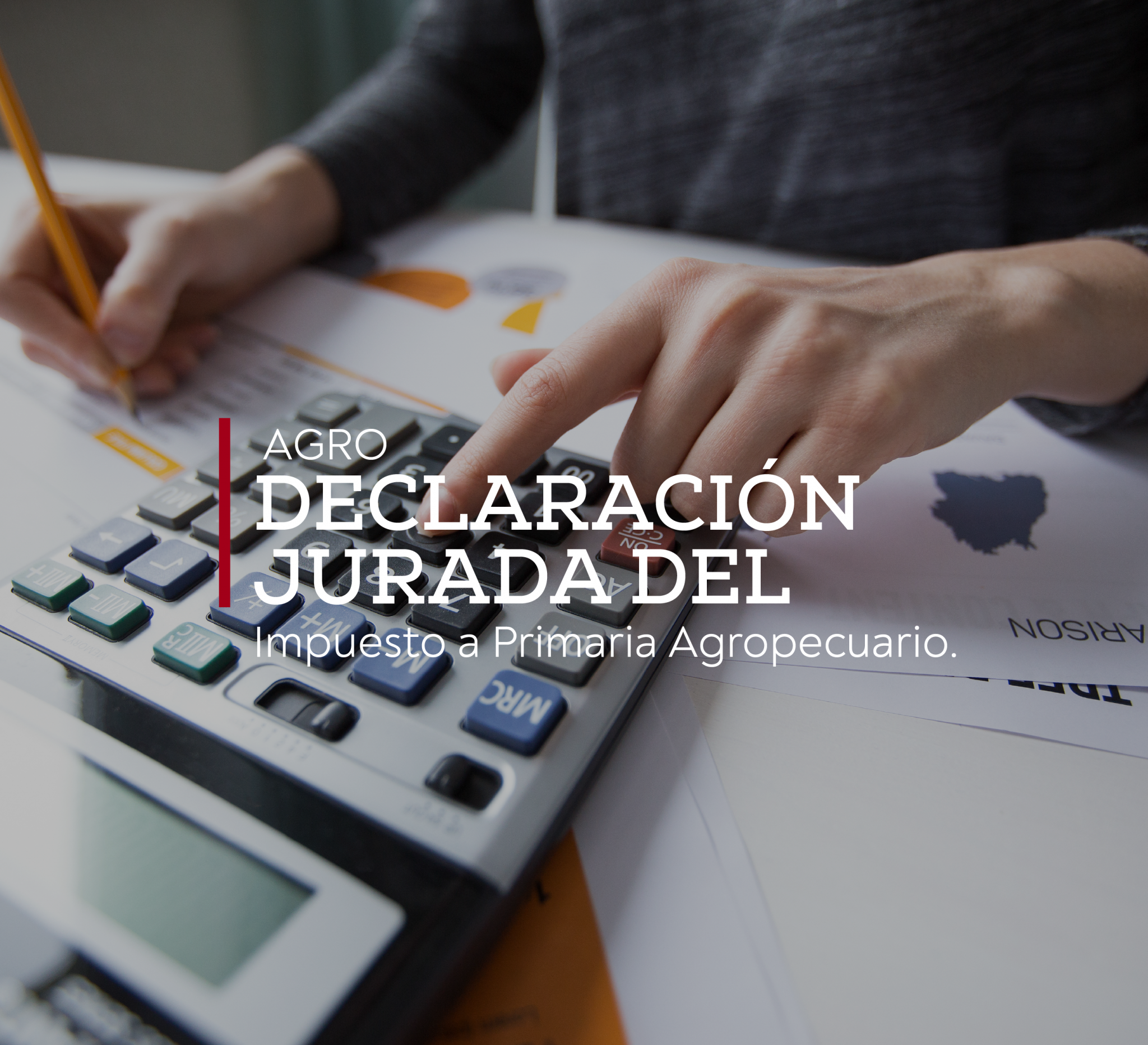 DECLARACIÓN JURADA DEL IMPUESTO A PRIMARIA AGROPECUARIO.