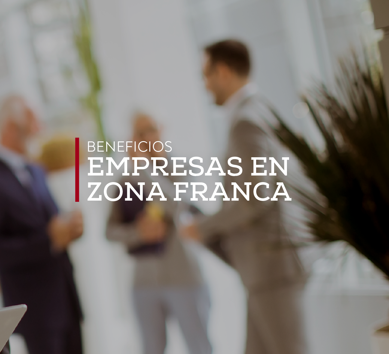 EMPRESAS de ZONA FRANCA DISFRUTAN de BENEFICIOS