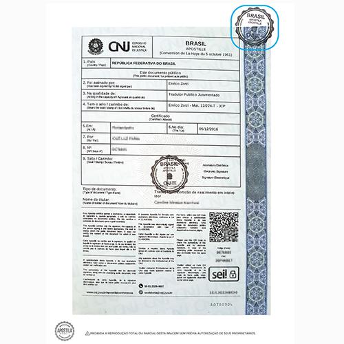 Gestión Argentina