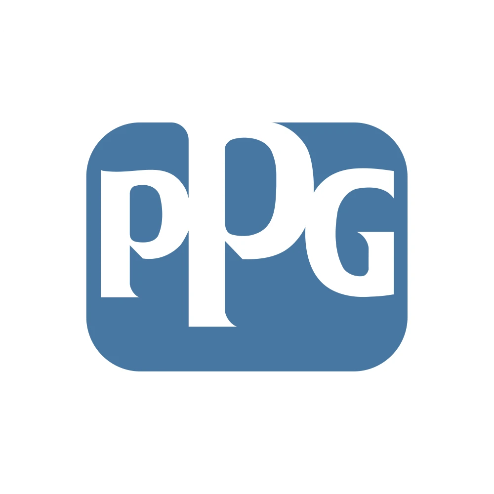 PPG4.webp