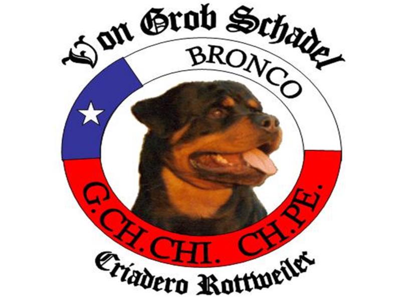 Criadero Rottweiler Chile