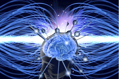 LOS LÍMITES DE LO MENTAL