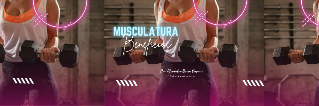 Musculatura