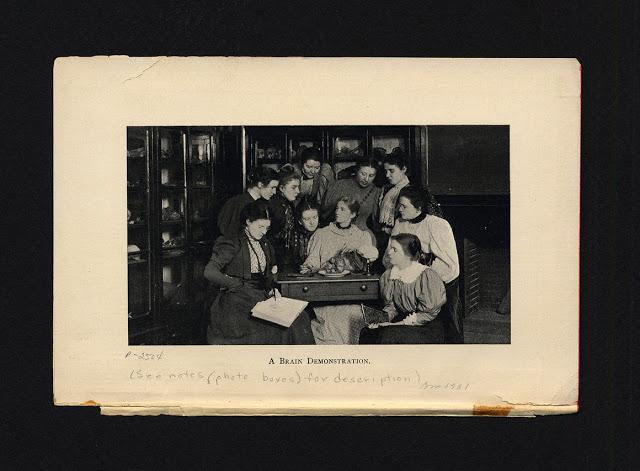 Una demostración de anatomía cerebral, 1897.