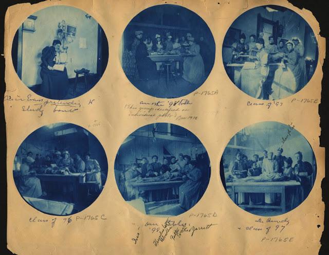 Álbum de recortes de Alice Evan con imágenes de disección, c.1898.