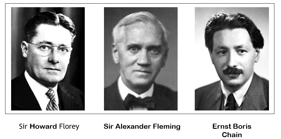 El Premio Nobel de Medicina y Fisiología en 1945 fue otorgado a Sir Alexander Fleming, Ernst Boris Chain y Sir Howard Walter Florey “por el descubrimiento de la penicilina y su efecto curativo en diversas enfermedades infecciosas
