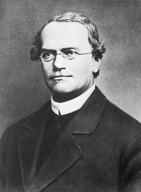 Padre de la genética