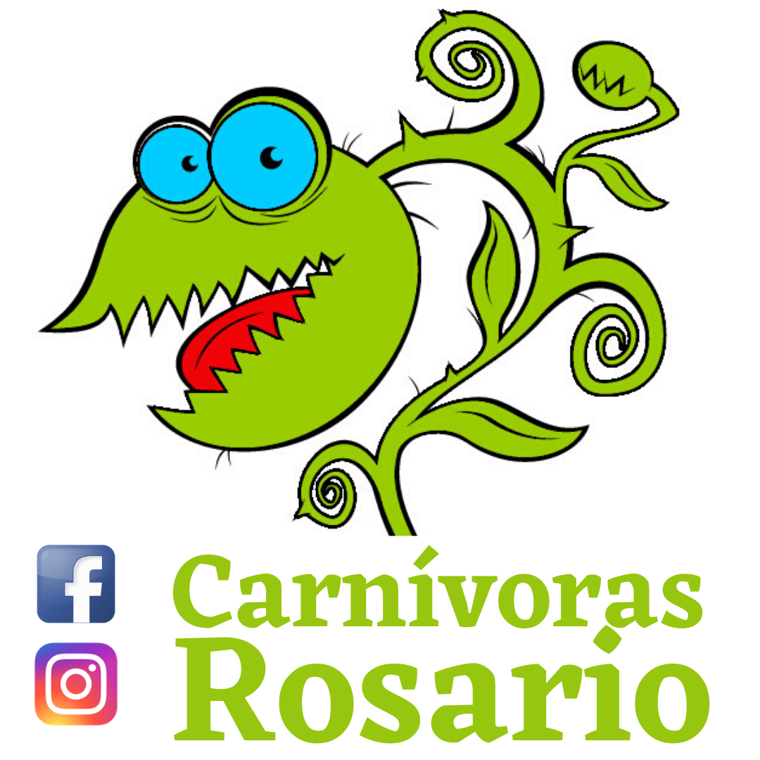 Soy nuevo con una planta carnívora