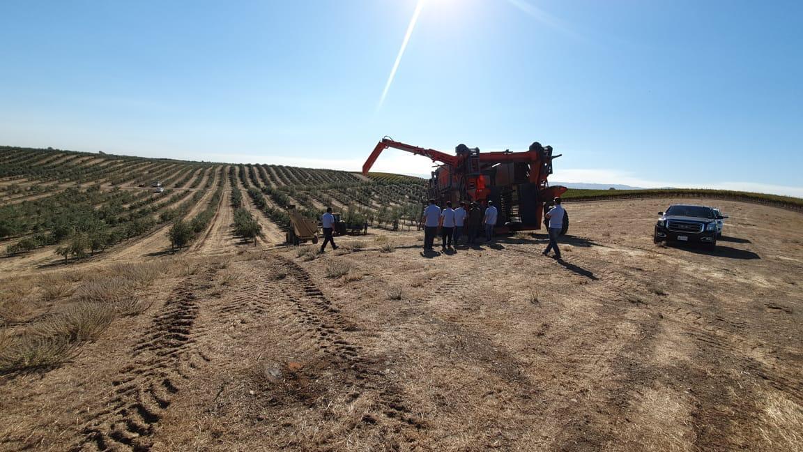 Maquina cosechadora autopropulsada para olivo intensivo