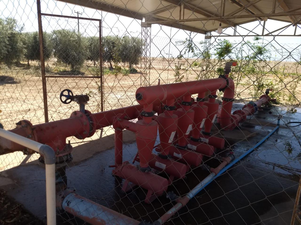Estructura para olivar en sistema superitensivo