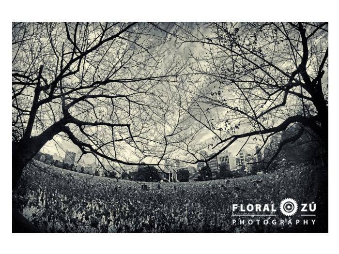 Florencia Alzugaray