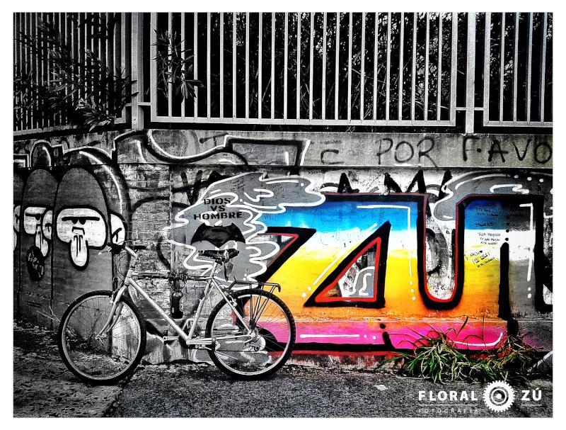 Floral Zu - Florencia Alzugaray