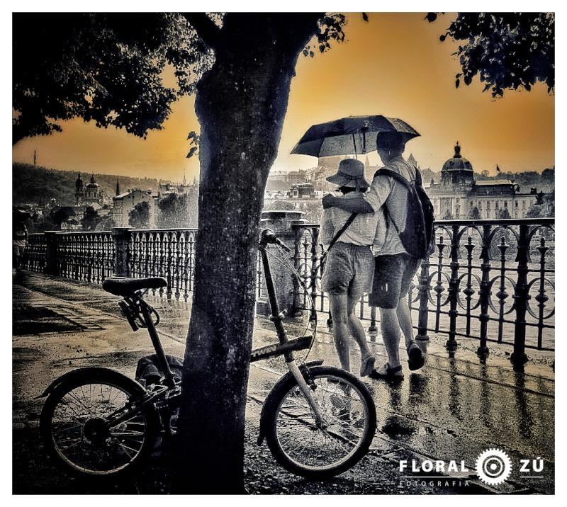 Floral Zu - Florencia Alzugaray