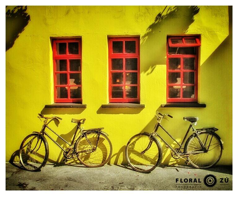 Floral Zu - Florencia Alzugaray