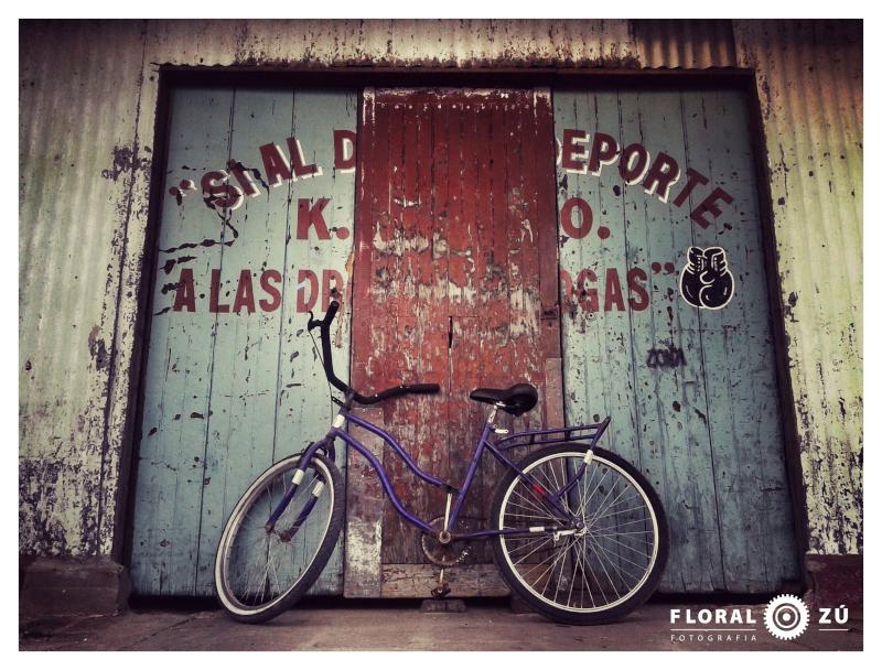 Floral Zu - Florencia Alzugaray
