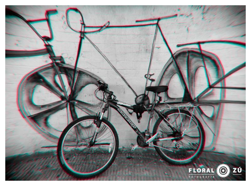 Floral Zu - Florencia Alzugaray