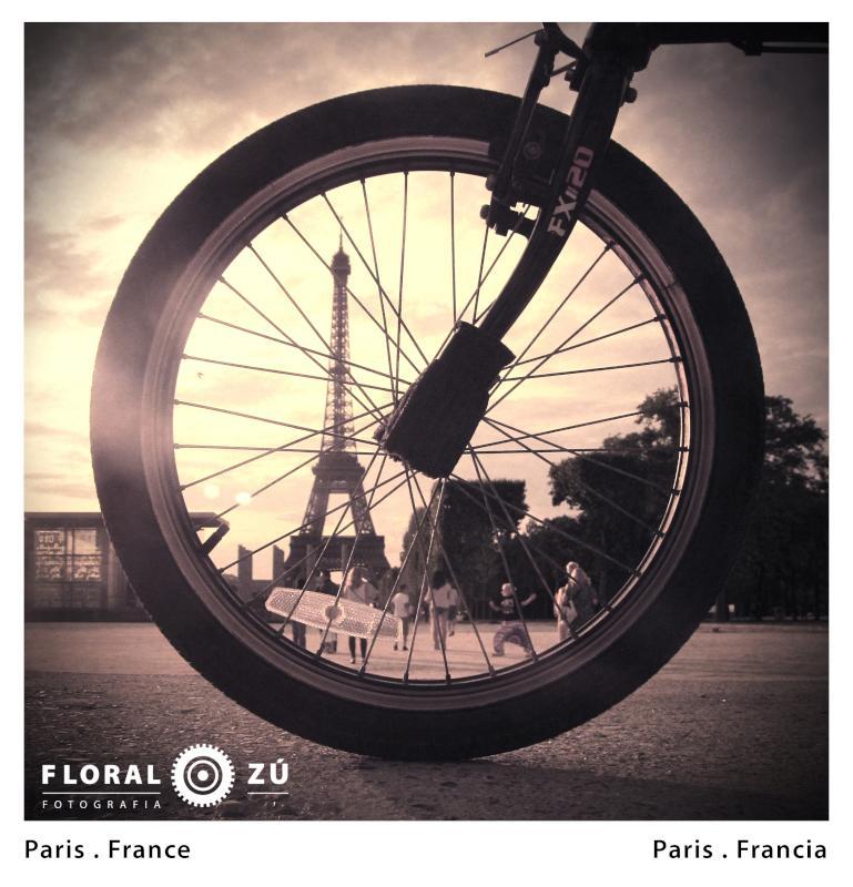 Floral Zu - Florencia Alzugaray