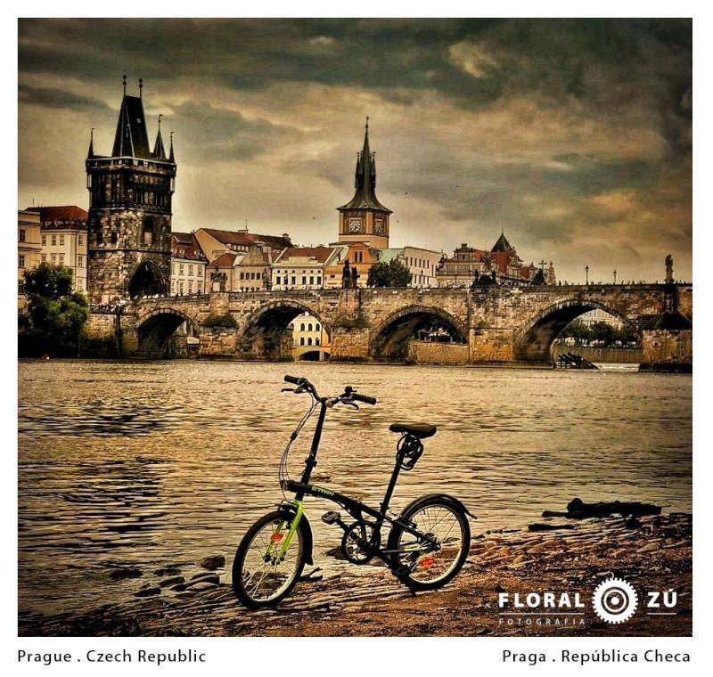 Floral Zu - Florencia Alzugaray