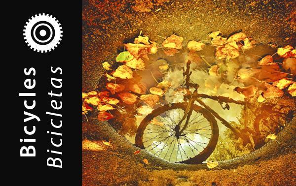 Bicycle photographs