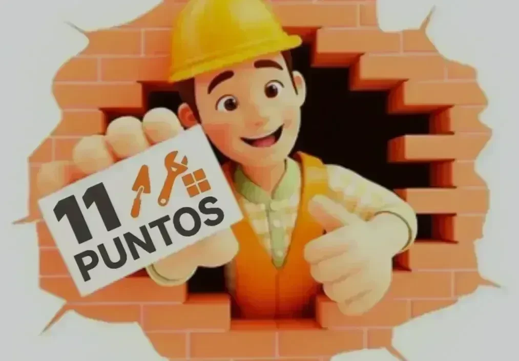 11puntosyreforma