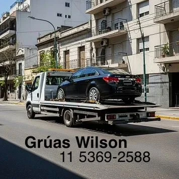 Grua Auxilio Wilson