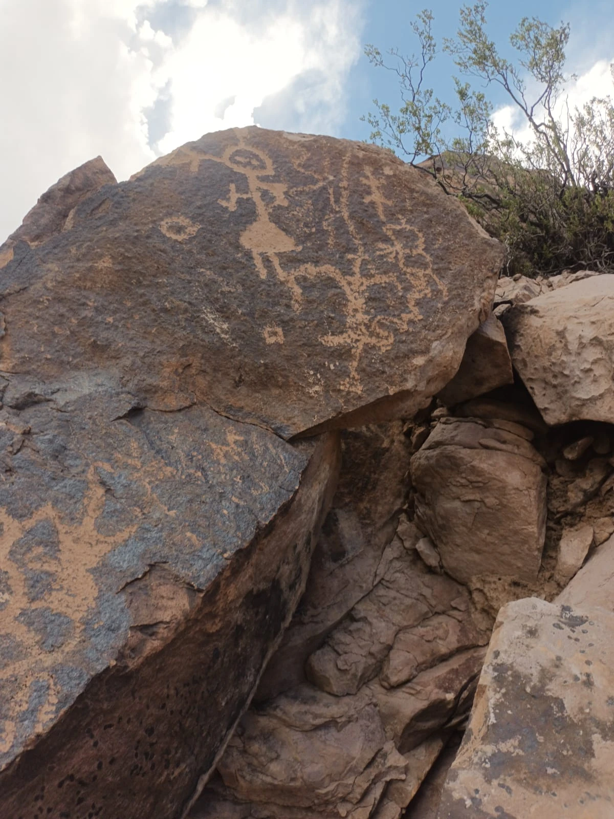 Avistamiento en Tunduqueral