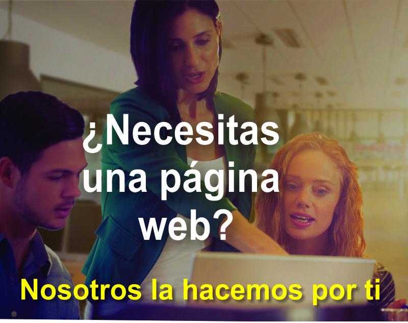diseñador de página web