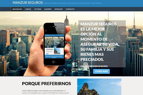 Sitios web, tiendas on-line, radios por internet