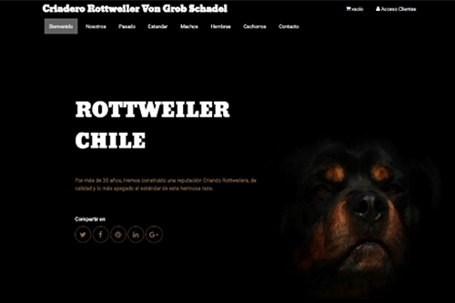 Criadero de raza rottweiler