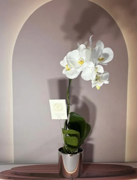 Elegant-White-Jumbo-Maceta-Tornasol-Rosas.webp