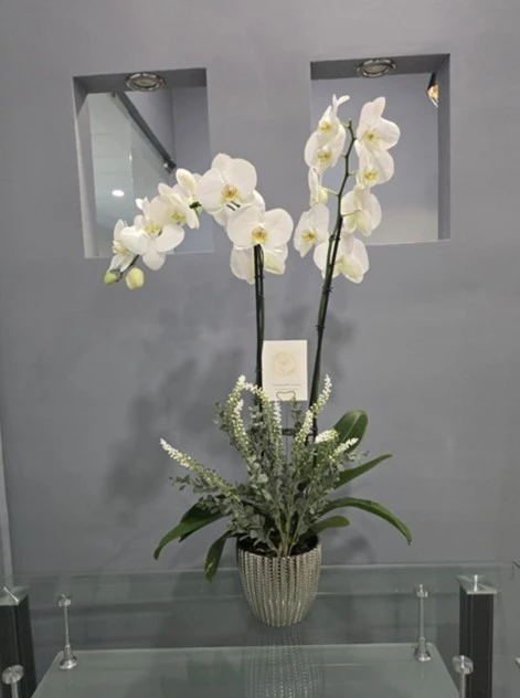 Elegant-White-Maceta-Ovalada-en-Vidrio.webp