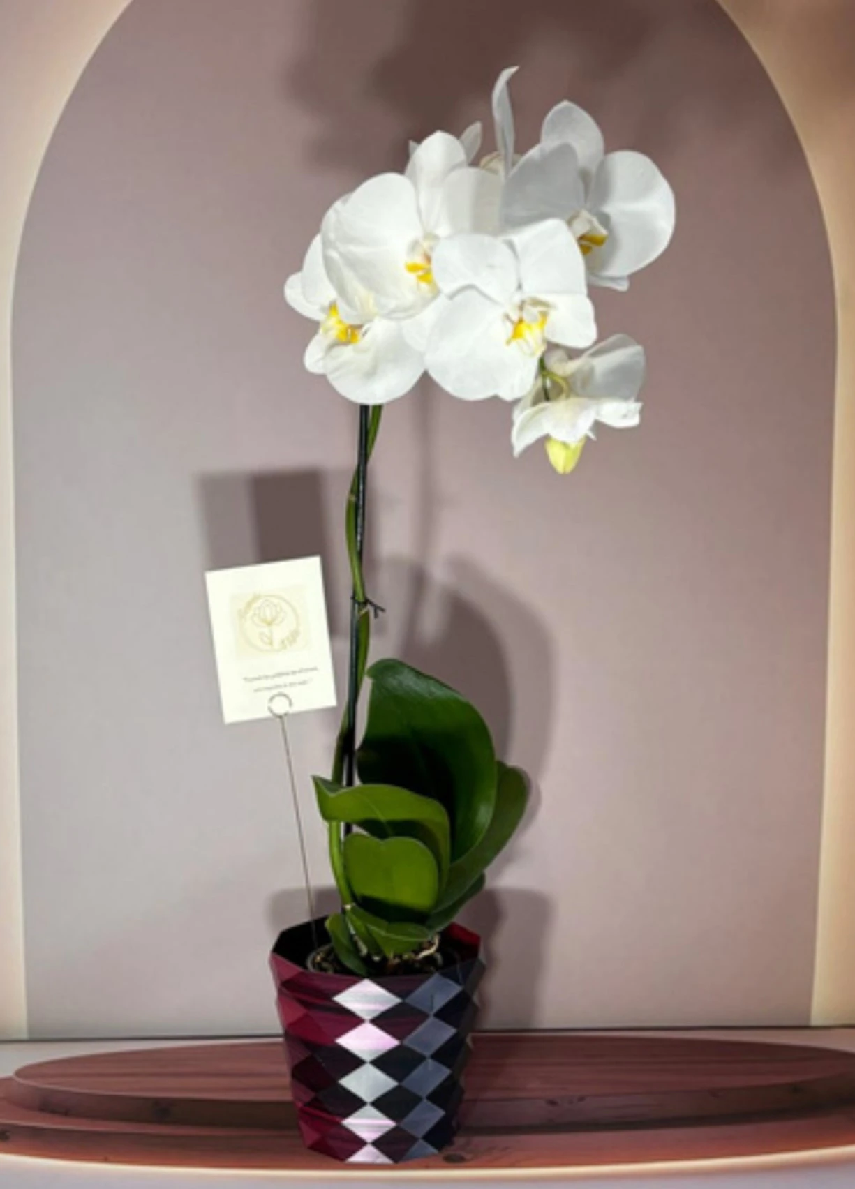 elegant-white-jumbo-maceta-tornasol.webp