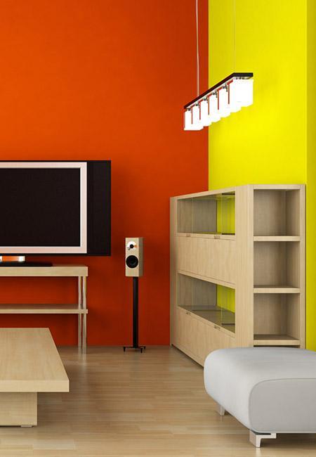 Pinturas Paint Plak