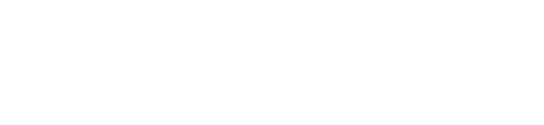 Dra Florencia Torressi