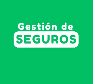SEGUROS