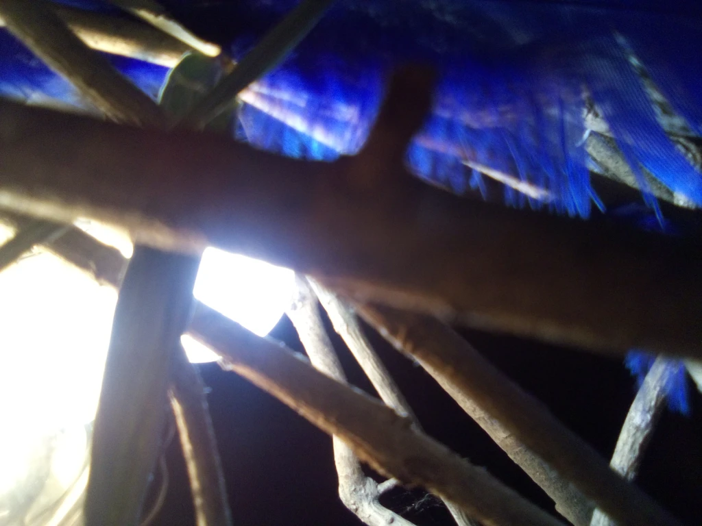 IMG20250126181439-(2383).webp