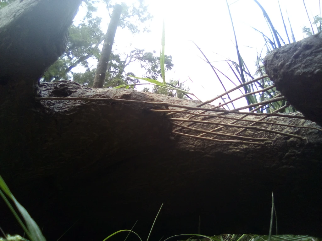 IMG20250417162600-(4629).webp