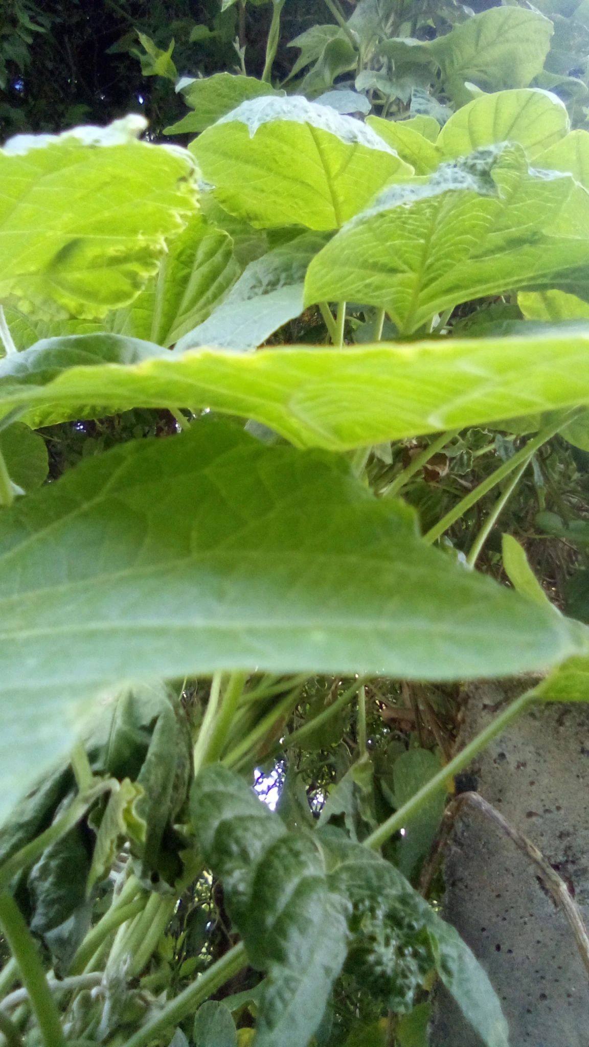 IMG20251023063452.webp