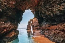 images.webp